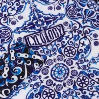 CYCOLOGY - Majolica women's LS jersey