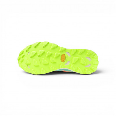 Chaussures de trail femme Mizuno Wave Daichi 9 à prix cassé !
