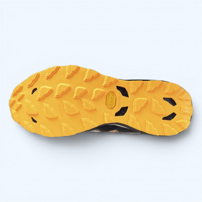 Chaussures de trail homme Mizuno Wave Daichi 9 à prix cassé !